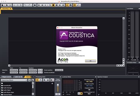 Acon Digital Acoustica Premium 